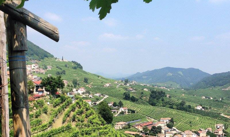 Scopri di più sull'articolo Una collana di perle