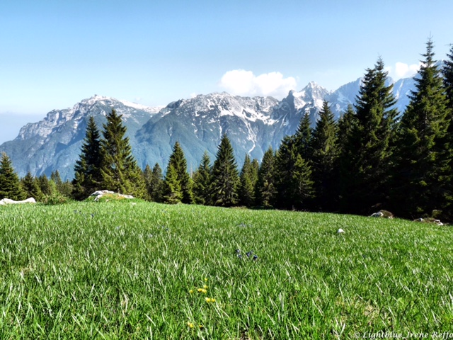 Scopri di più sull'articolo Siete motivati??