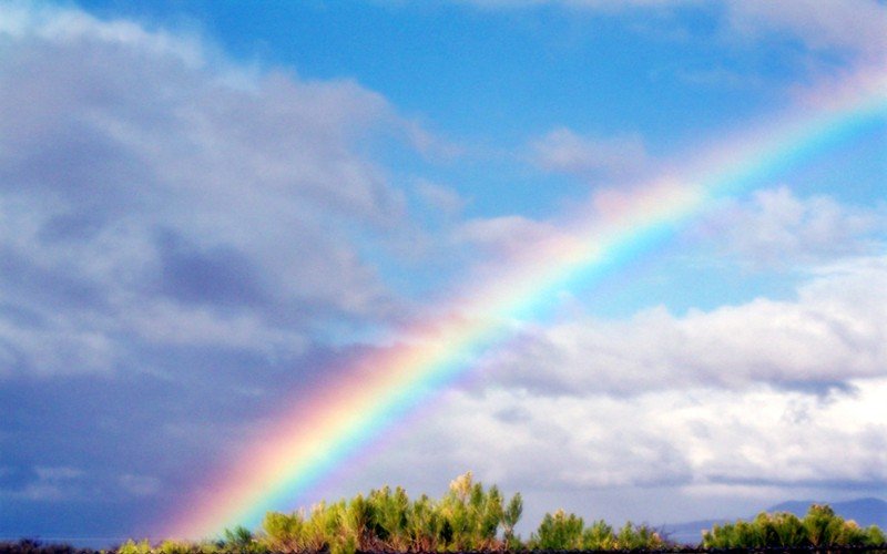 Scopri di più sull'articolo Liberare la creatività