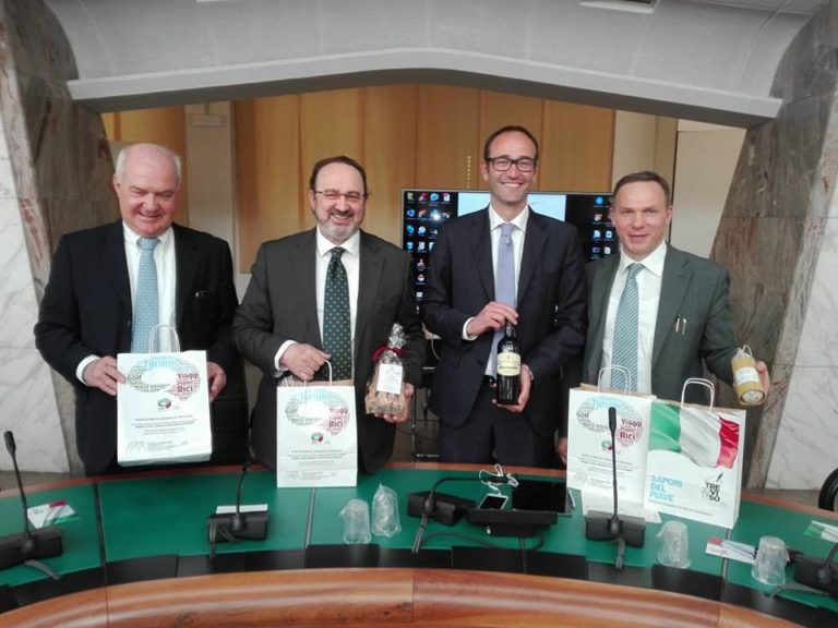 Scopri di più sull'articolo Conferenza stampa Adunata Alpini 2017