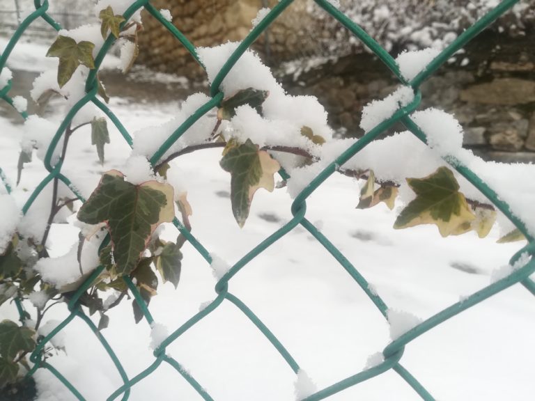 Scopri di più sull'articolo LA CURA DELLA FRAGILITÀ